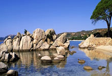 抖音头像涨粉设定怎么弄